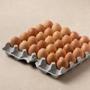 우리계란마트 이미지