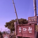 애월맛차 네이버블로그