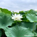 해훈식당 이미지