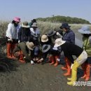 케이문화관광 협동조합