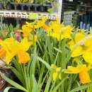 풍년농자재백화점 이미지