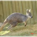 나들이어린이공원 이미지