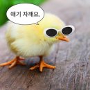 투어테일러 이미지