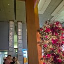 모닝갤러리 | 그랜드하얏트 크리스마스 트리 갤러리 평일 저녁과 브런치 방문 후기 :: 예약, 웨이팅, 메뉴추천