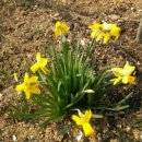 범서농협 하나로마트 이미지