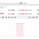 디씨케이네트워크