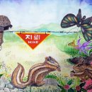 DMZ입시학원 이미지