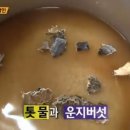 동원김밥