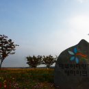 시화간척지(대형화훼단지) | 안산여행코스 대부도 바다향기테마파크