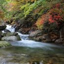 파크식당 이미지