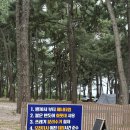 구시포노을캠핑장 | 고창 구시포 노을캠핑장 2박 솔직후기