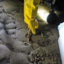 다님펜션 이미지