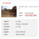 신녕면-가천리-1