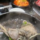 청춘옥 | 역곡 삼계탕 맛집 &#39;청춘옥&#39; 재방문_건강한 검은 꼬꼬닭으로 또 몸보신