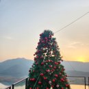 매화농원 | [양산/원동]낙동강 뷰 애견동반 대형카페 《'전망대매화농원'》