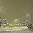 11월 말 오사카-교토 3박4일 1탄 ( 청수사 라이트업, 도톤보리, 리키마루 야끼니꾸, 그르니에)