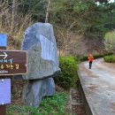 학동자동차야영장 티스토리