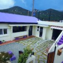 다포아라 이미지