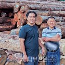 생명(조각) 이미지