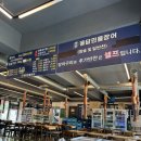 현대장어 | [다산 장어 맛집] 다산현대아울렛 근처 ‘용담민물장어’ 내돈내산 후기, 몸보신 제대로!