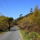 그린팜영농조합법인 이미지