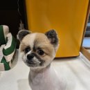 멜팅그루밍 이미지