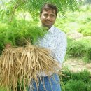 엔젤스토리 이미지