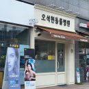 오석헌동물병원 | [옥수역]오석헌동물병원 달이 건강검진 다녀온 후기