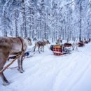 오로라캠프 이미지