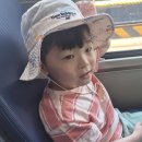 연우랑 인왕산(창의문~인왕산~범바위~독립문역) 2026년 6월 3일 이미지