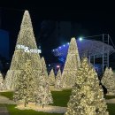 오동동177 이미지