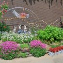 꽃무지풀무지유치원 이미지