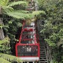 블루마운틴 이미지