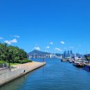 정방동 가야밀면 남쪽 | 부산여행 분석｜계절별 추천 일정과 팁 정리