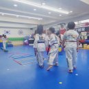 경희대 한결 태권도장 | 운동 습관이 아이의 일상 리듬을 잡아준다 - 부천 중동 경희대 박사 현대 태권도장