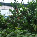 만섭농장 이미지