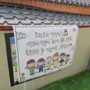 지혜어린이집 네이버블로그