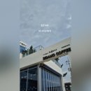 파니아토 이미지