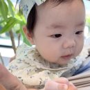 프린스세탁 | 해피프린스 플로아 바디수트 후기🤍 6개월 아기 외출복으로 예쁘게 입혀요