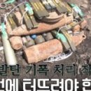 포천초등학교 이미지