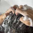 황제 공진보단 이미지