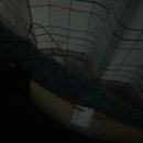 푸른내과의원 이미지