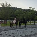 대가야광장 | 고령 통돼지바베큐, 대가야 기마문화체험장에서 열린 이색 야외결혼식의 통돼지바베큐와 출장뷔페 후기!