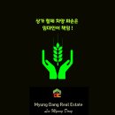 뉴양지공인중개사사무소 이미지