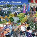 나래여행사 이미지