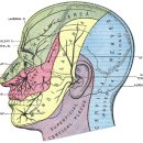 공덕인과한의원 이미지