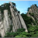 에덴동산 이미지