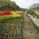 안산천 이미지