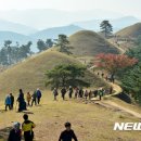 대가야센터-12 이미지