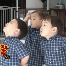 대한민국만세 이미지